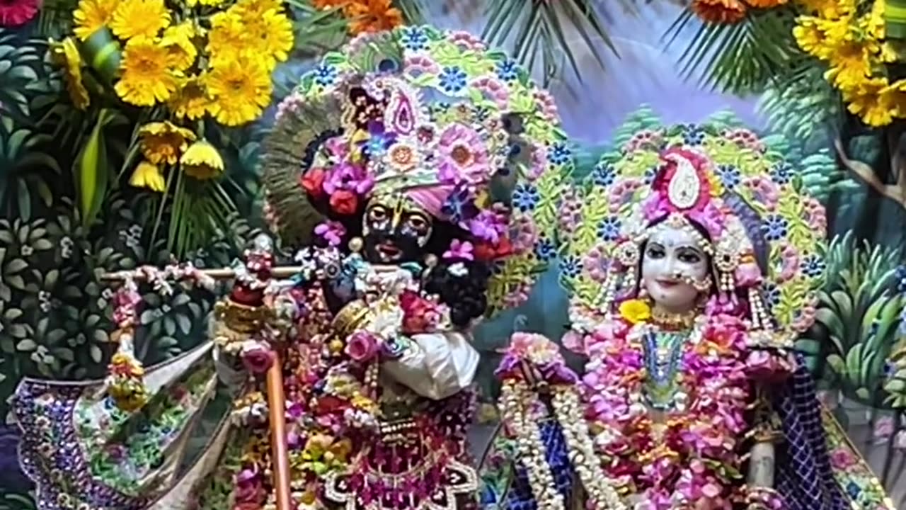 Krishna 🙏❤️