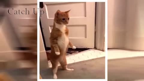 Funny Fails Compilation # 178