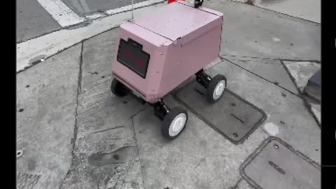 Carrinhos de entrega em Miami!