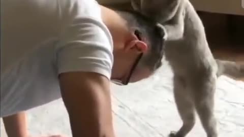 Let me help you!