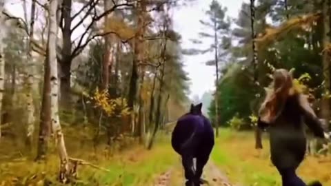 Riding a horse is a therapy |horse love|