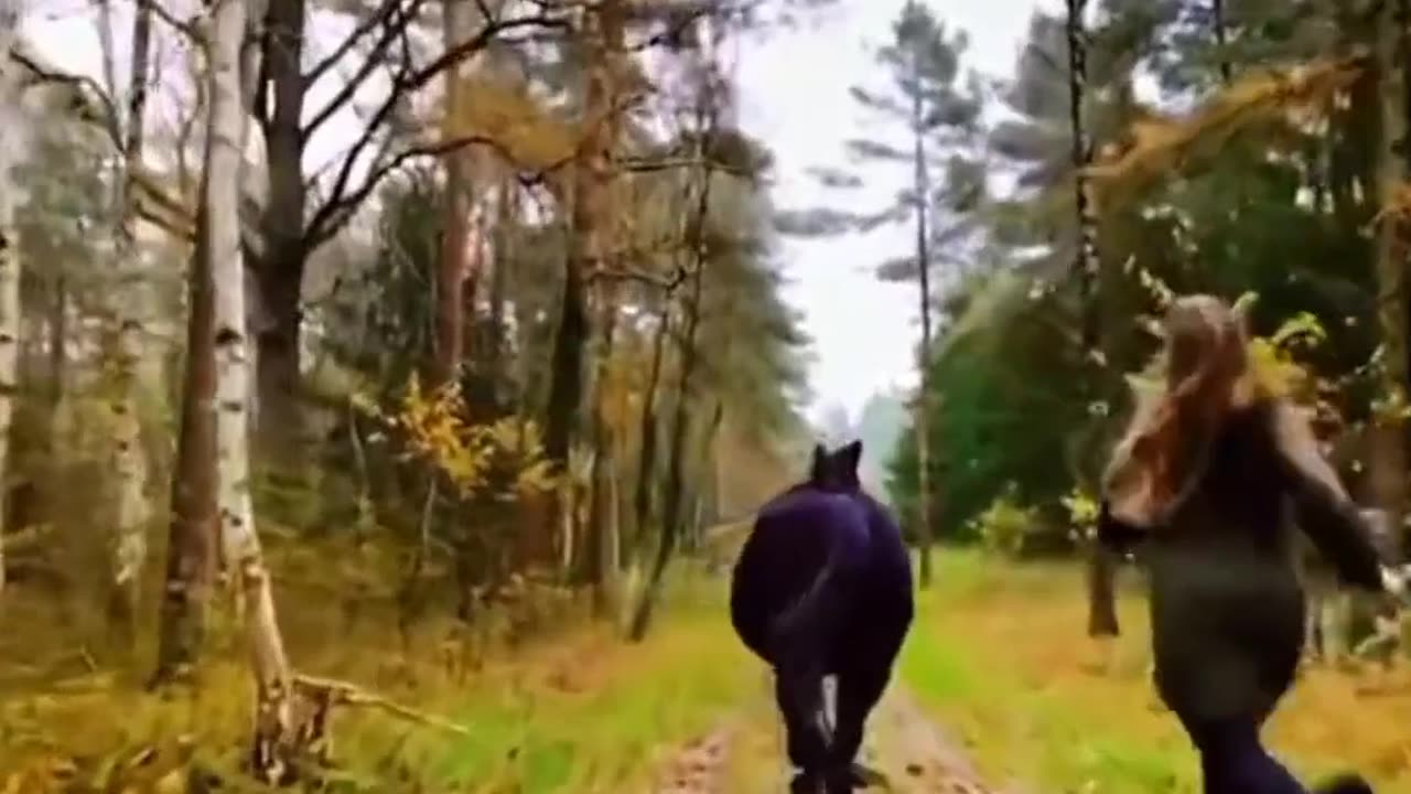 Riding a horse is a therapy |horse love|