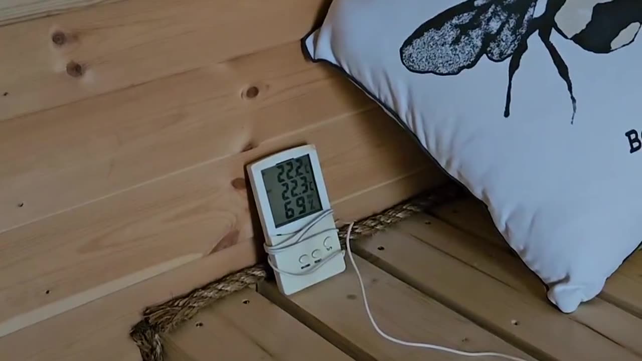 Honeybee heated house! 🐝🥰💫