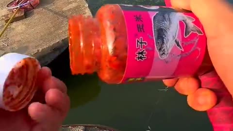 Fishing from River