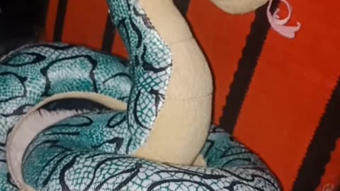 Snake #toys