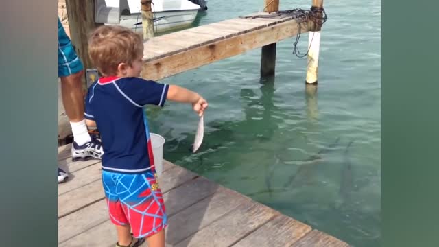 BABIES MEET FISH FOR THE FIRST TIME | Funny Babies And Animals Videos Compilation