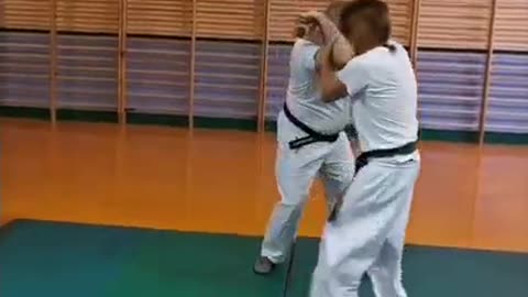 Hapkido