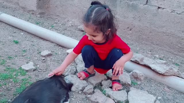 Baby play with cat