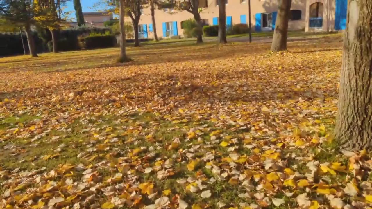 2023-11-20 (1) - 1H et quelques PAS PLUS - Kick Triskel