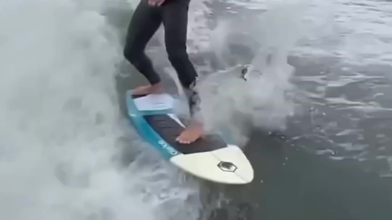Insane moments caught on camera