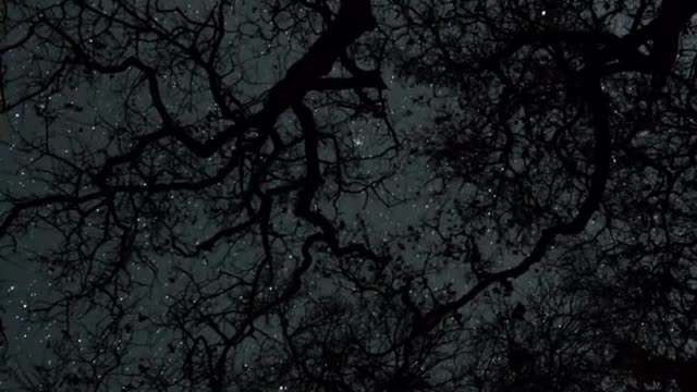 #stargazing #calm #escape