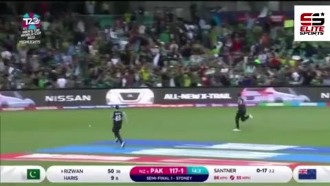 Pak v Newzeland highlights