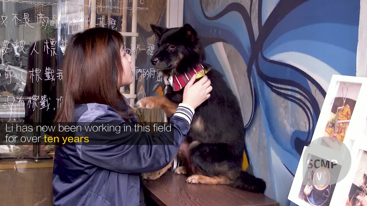 Meet Hong Kong’s animal communicator