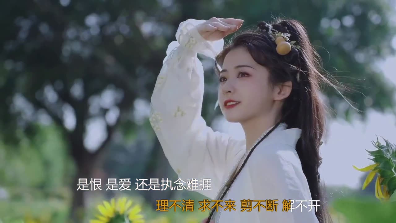 Chinese Beauty 中国风美女