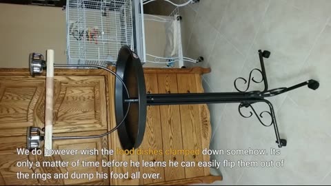 Kaytee EZ Care T Stand Medium-Overview