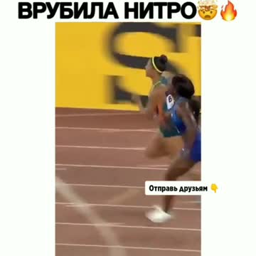 Videos of animals, pets, cats. dogs, etc.