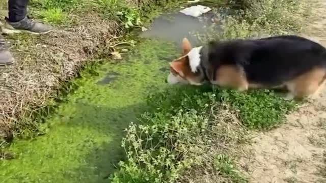 so cute and funny.
