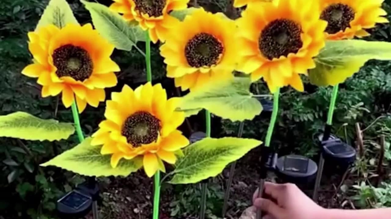 Light Up Your Garden with Sunflower Solar Lights ?? #SustainableLiving #EcoFriendly