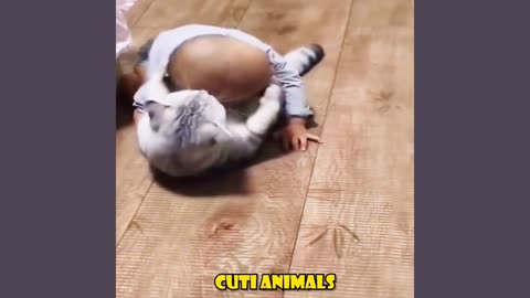 very funny cute animals acting