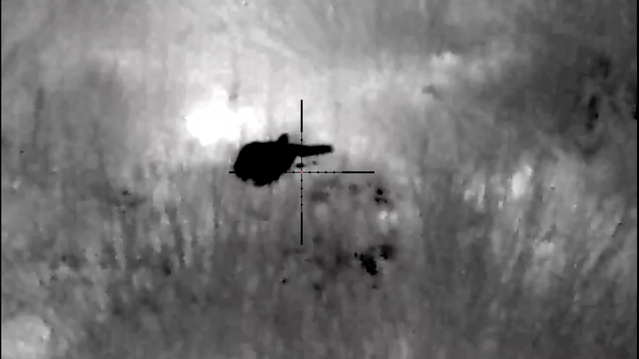 Female hog 60 meters. Thermion XM50