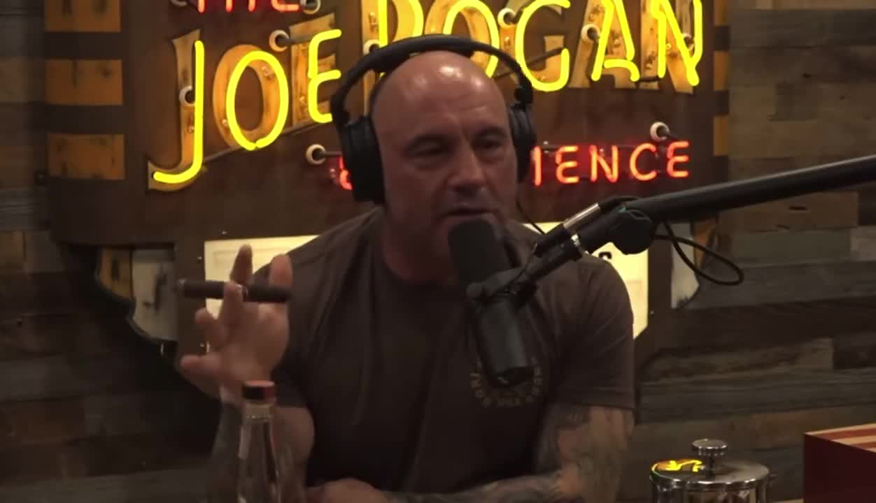 Joe Rogan Wrecks Vaccine Passports & The Totalitarian Left