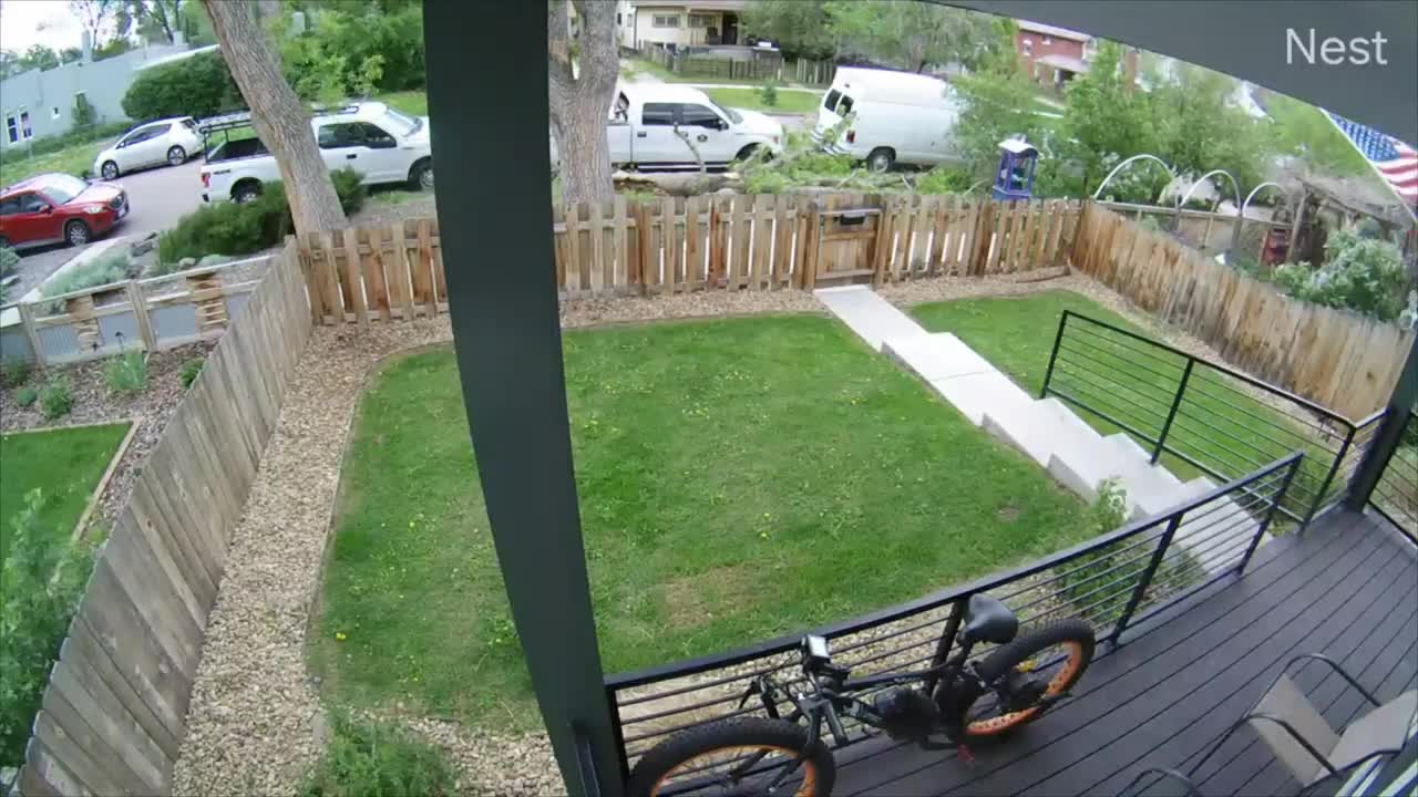 Truck Getting Smacked by a Fallen Tree Branch Due to Strong Winds