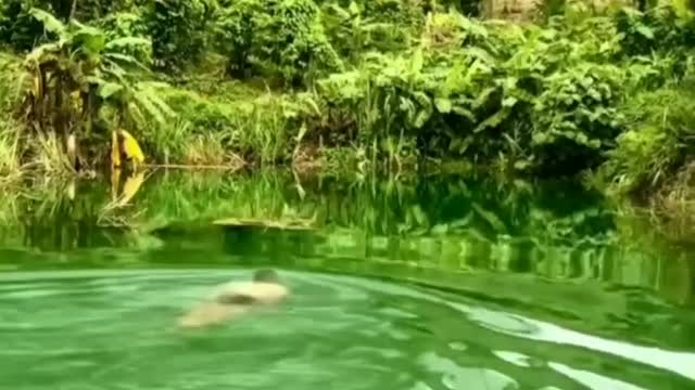 Immortal lake in Vietnam