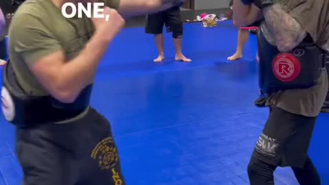 "Mastering the Art of Combat: A Comprehensive Guide on How to Fight"