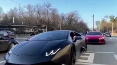 Shorts Lamborghini