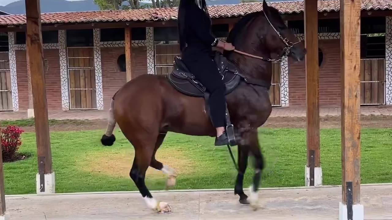 Caballo