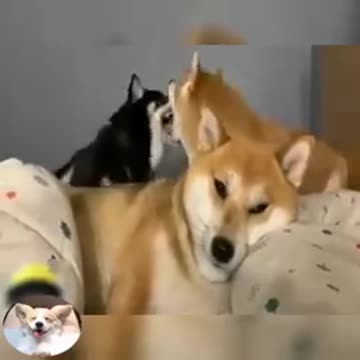 A painful love 💖💖💖