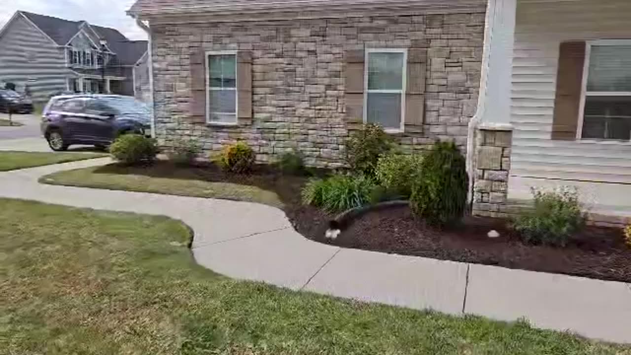 Landscaping and Lawncare srvices