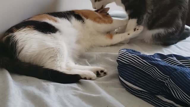 Chase and Sister Amber always together.