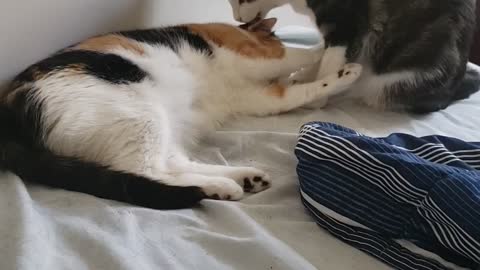 Chase and Sister Amber always together.