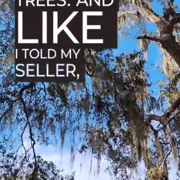 Trees or No Trees... What's Your Thoughts?...