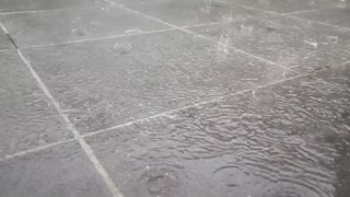 Rain is fun