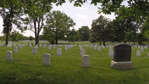 Flags In 2014 Timelapse