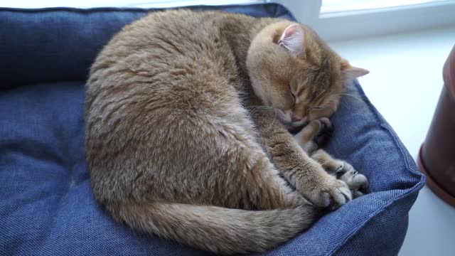 Monday - I'm better get some sleep