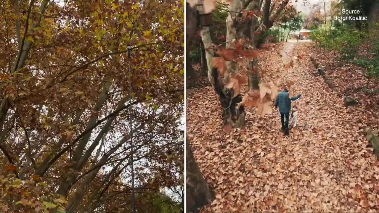 5 AUTUMN CREATIVE VIDEO TRICKS