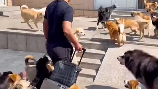 Happiest Puppies