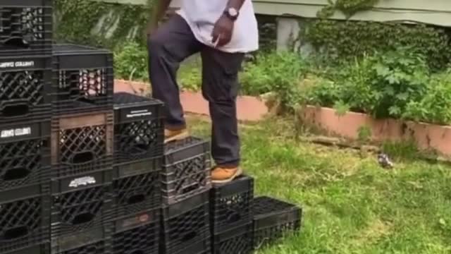 Crate challenge fails🤣