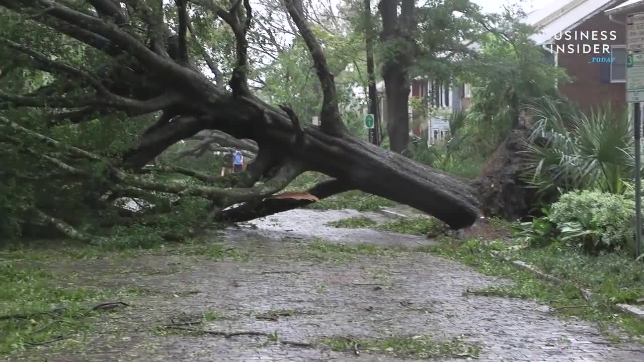 How Marines Respond To Natural Disasters