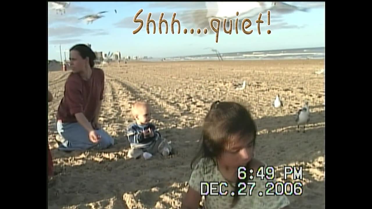 Seagulls Are TOO Noisy!