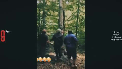 Funny video