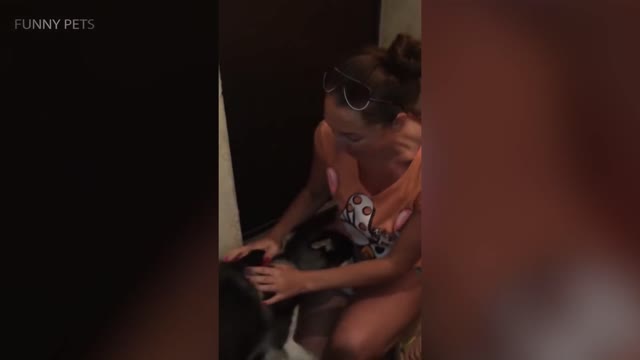 A Fascinating Behind-the-Scenes Look at Dog