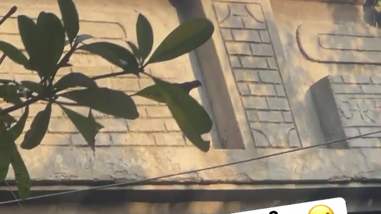 ਦੁਰ ਫਿੱਟੇ ਮੂੰਹ ਤੇਰੇ