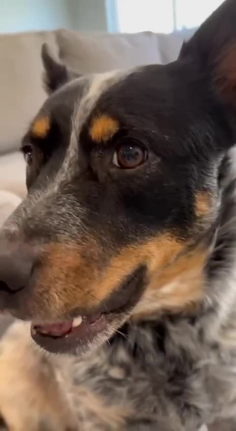 Was wondering about sound source