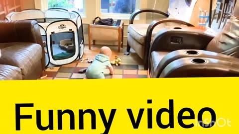 Pets and kids funny glimpse