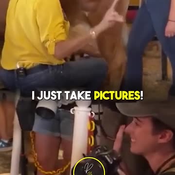 Milk a Cow & a Bull!