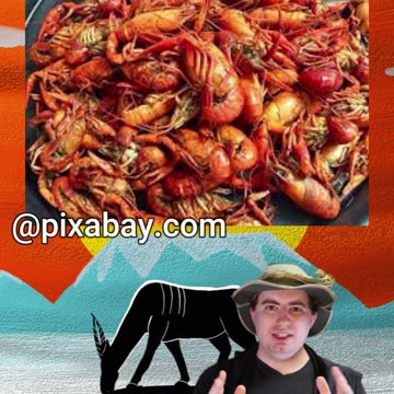 Are Crawfish Always Red?! | Early Morning Eland 12